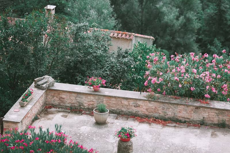 Your balcony garden